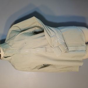 IZOD Stripe Dress Shirt S Green/Olive/Cream